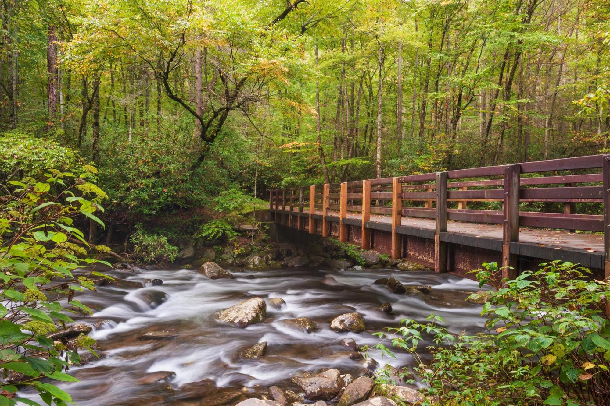 Ober Hideaway, Hot Tub, Wifi, 1089 Free Tickets Each Paid Day, Dollywood And More Gatlinburg Kültér fotó
